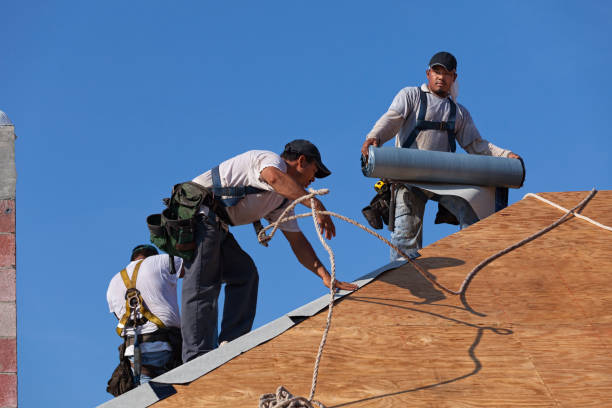 Best Roof Gutter Cleaning  in Palm River Clair Mel, FL