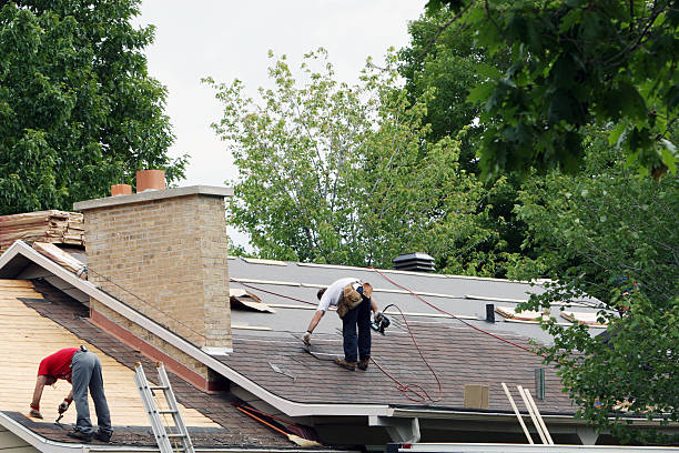 Quick and Trustworthy Emergency Roof Repair Services in Palm River Clair Mel, FL