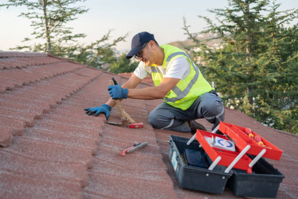 Best Storm Damage Roof Repair  in Palm River Clair Mel, FL