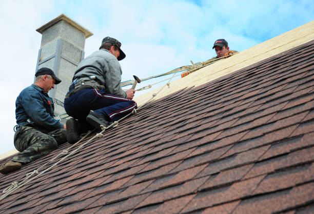 Best Roof Waterproofing Services  in Palm River Clair Mel, FL